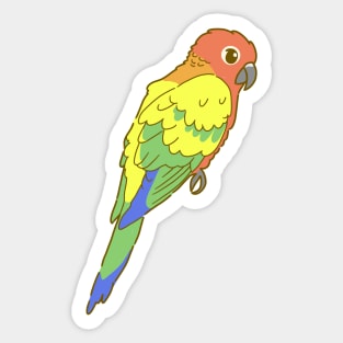 Rainbow Sun Conure Sticker